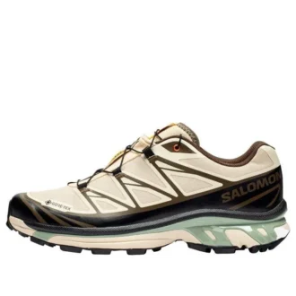 SALOMON x SNS XT-6 Gore-Tex „Almond Milk Seagrass”