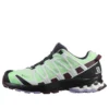 SALOMON XA PRO 3d V8 Gtx „Green Black”