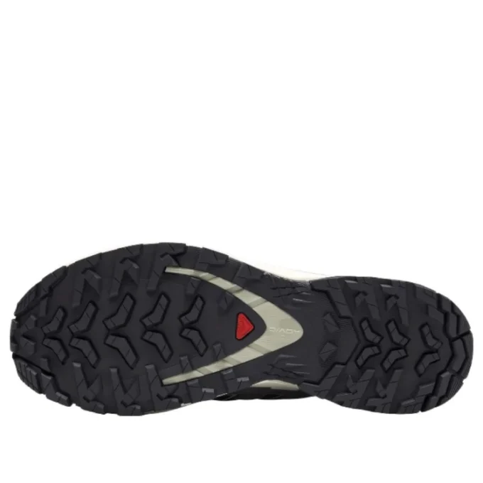 Salomon XA PRO 3D V9 GTX „Gri închis-bej”