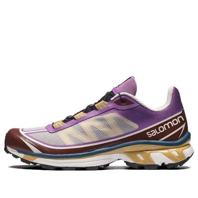 Salomon XT-6 Ft „Gri, violet, maro”