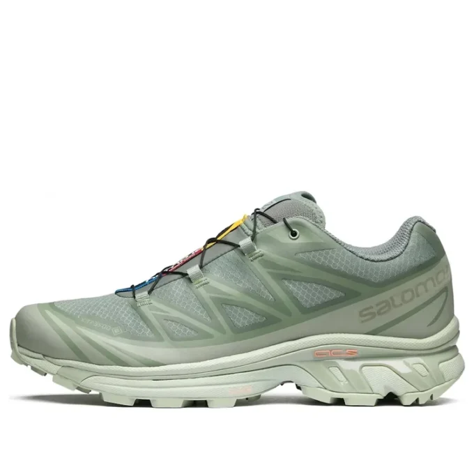 XT-6 Gore-Tex „Desert Sage Lily Pad” XT-6 Gore-Tex „Desert Sage Lily Pad”