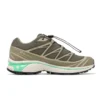 XT-6 Gore-Tex „Olive Night Dried Herb”