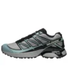 XT-PATHWAY „Ghost Grey Arona”